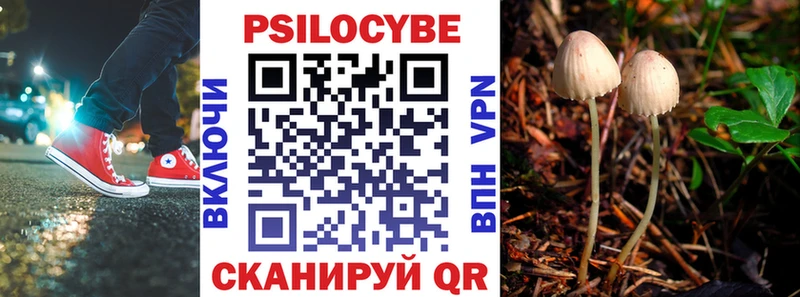 ссылка на мегу ссылки  как найти наркотики  Опочка  Галлюциногенные грибы Psilocybe 